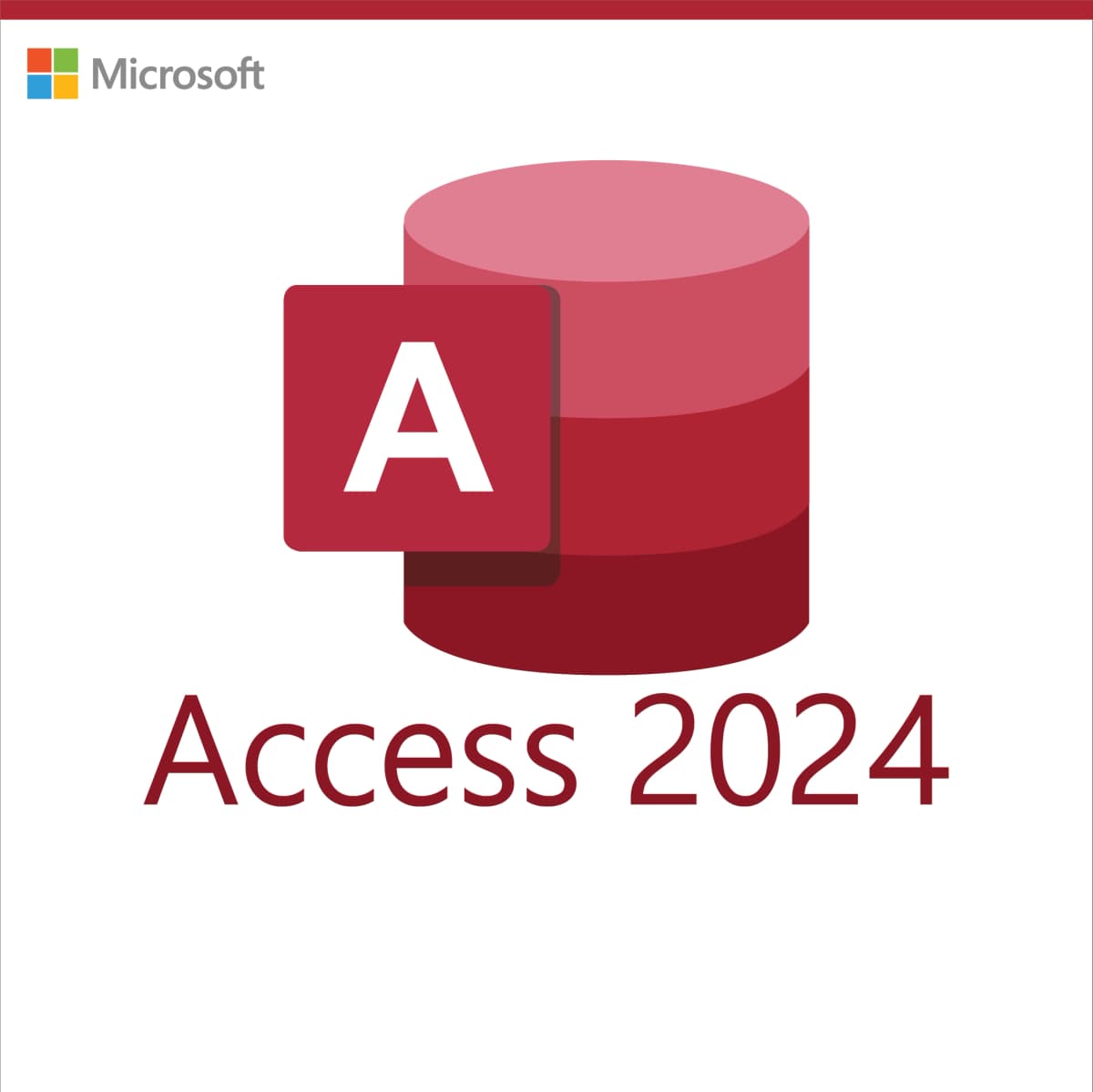 Microsoft Access 2024 – Lifetime License